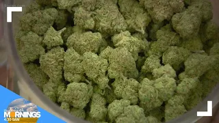 Denver City Council to weigh marijuana delivery, hospitality establishments