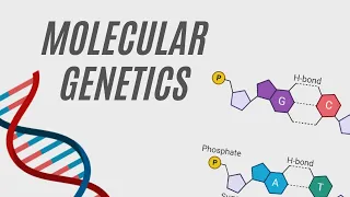 MOLECULAR GENETICS  | O Level | Pure Biology