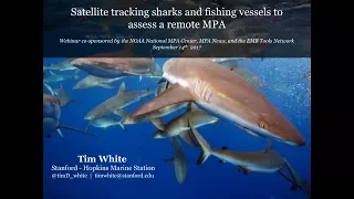 Satellite tracking sharks and fishing vessels to assess a remote MPA