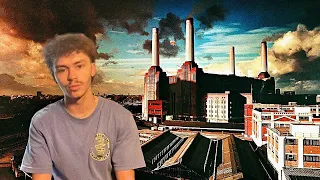 Pink Floyd - Animals REACTION/REVIEW