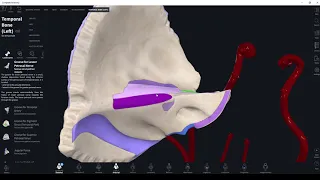 Anatomy of the Temporal bone. Canals of temporal bone