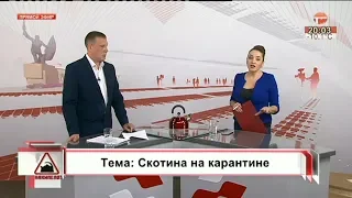 Накипело. 31.01.2019. Скотина на карантине