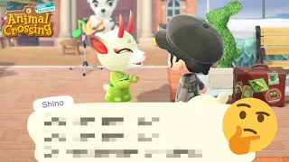 When You Realize You're Fluent in Animalese (Yes, YOU!) | Animal Crossing Language | ACNH Shino