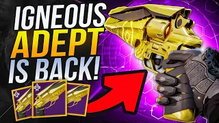 Igneous Hammer Adept is HERE is Better than ever ! (New perks)