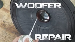 Speaker Quick Repair techniques - Easy - Strange Buzzing Sounds