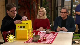 Lyckat Trisskrap, David! - Nyhetsmorgon (TV4)