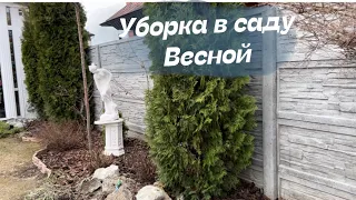 Уборка в саду конец марта , я в шоке