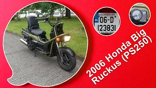 2006 Honda Big Ruckus 250 (Review) - how to remove/replace rear tire 2006 honda big ruckus 250cc