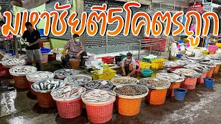 ตลาดมหาชัยตี 5:00 โคตรถูก!! อาหารทะเลสดๆราคาถูกทั้งนั้น มีหมดครบจบในที่เดียว ปลาเก๋าตัวใหญ่มาก