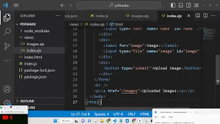 Node.js Express Project to Upload Image Buffer & BLOB Data to MongoDB Database & Display it Using JS