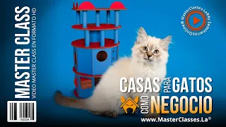 Casas para Gatos como Negocio - Aprende a crearlas en cuestión de horas.