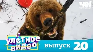 Улетное видео | Выпуск 20