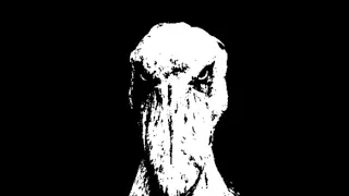 Black and White Shoebill meme (extended)