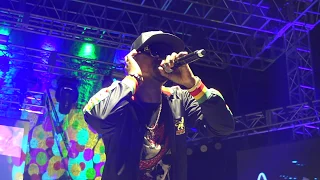 Busy Signal High Times Reggae on the River Aug 3 2018 whole show