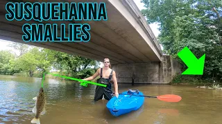 Susquehanna River Smallmouth Fishing