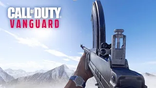 Call of Duty: Vanguard - All Weapons Sound & Reload Animation