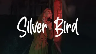 Mark Lindsay - Silver Bird (Lyrics) From The Gray Man