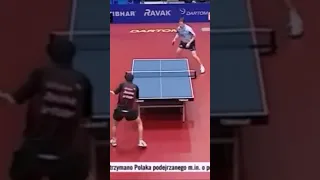 Jan Ove Waldner Pulls Off Unbelievable Drop Shot #waldner #shorts #tabletennis