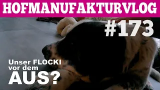 VLOG#173 Flocki vor dem Aus??? Hofmolkerei Farmvlog