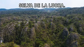 El increíble SOTANO de  la LUCHA, CHIAPAS || EXPLORACION en selva.