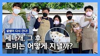 🐶 설쌤이 다시 간다! 토비는 어떻게 지낼까? '토비'편 | 설채현 행동학 수의사