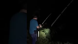 HUGE FISH TAKES MY POLE INTO THE WATER!!!!!