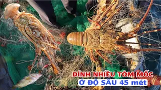 Chuyến biển hè - nghề đánh lưới tôm hùm