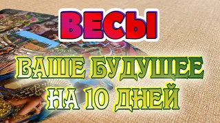 ВЕСЫ ❤️‍🔥♎ ВАШЕ БУДУЩЕЕ на 10 ДНЕЙ гадание онлайн Таро расклад