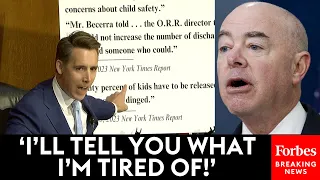 'It Should Not Happen In The USA!': Hawley Furiously Accuses Mayorkas Of Allowing Child Slavery
