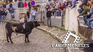 OUTEIRO-CONCEIÇÃO com touros da GANADARIA MJR | 11 de Junho de 2022