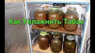 Простые способы увлажнения Табака.