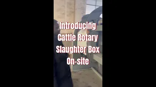 cattle halal rotary slaughter box cow abattoir equipment killing box slaughterhouse slaughter line