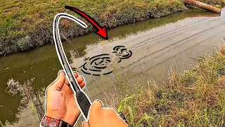 Why Are These Fish SO STRONG? (Houston's Best Creek Fishing Honey Hole!)