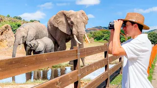 El "ZOO" Más Grande de mi País 🦒🐘 | CABARCENO ¿Están tan Bien Cuidados?