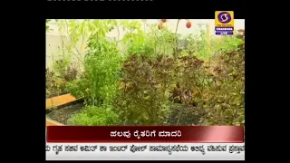 DD CHANDANA NEWS.19.10.19. 7 PM