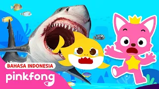 Petak Umpet Menakutkan dengan Keluarga Hiu | Cerita & Kartun Anak | Pinkfong Indonesia