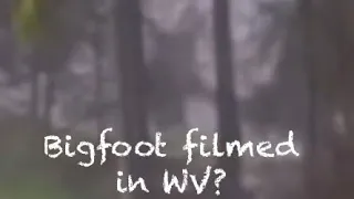 BIGFOOT FILMED IN WEST VIRGINIA (I did not record the video)