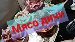 #мясодичи Что можно приготовить из мяса дикого кабана?