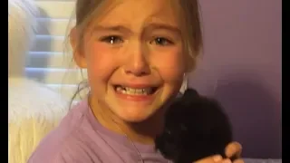 Surprised by New Kitten - Wholesome Kitten Surprise Compilation 2018