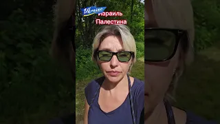 Война Израиля и Палестины. Я против агрессора, который напал первым.