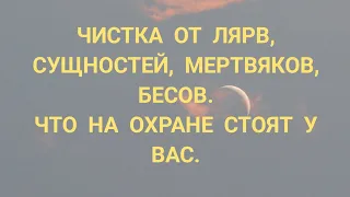 ЧИСТКА ОТ ЛЯРВ, СУЩНОСТЕЙ, МЕРТВЯКОВ, БЕСОВ. ЧТО СТОЯТ НА ОХРАНЕ. +79607714230