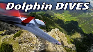 Dolphin Dives