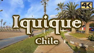 Turismo en IQUIQUE – CHILE ¿Qué visitar? [4K]