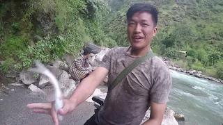 FISHING WITH CAST-NET IN SMALL RIVER OF NEPAL | ASALA FISHING | HIMALAYAN TROUT FISHING |