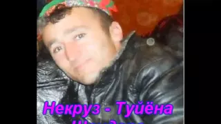 Некруз туйёна Сунчеф