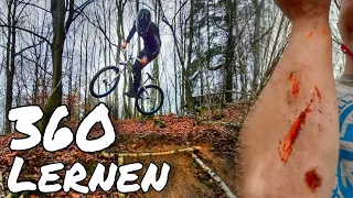 360 LERNEN in einer STUNDE | 4K | Trail Büffel