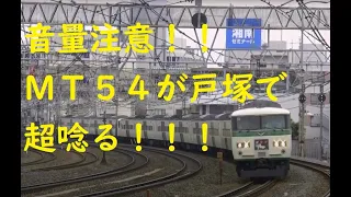 音量注意！8Ｍ7Ｔ 185系 15両編成の通過音！これがMT54モーターじゃ！直後に静かなE233系通過