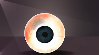 Eyeball made in Maya Arnold