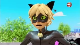 Irresistible | Marinette/Ladybug x Chat Noir/Adrien