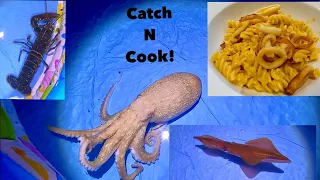 OCTOPUS , SQUID & Lobster in a Paddling Pool , Crab & Squid Pasta